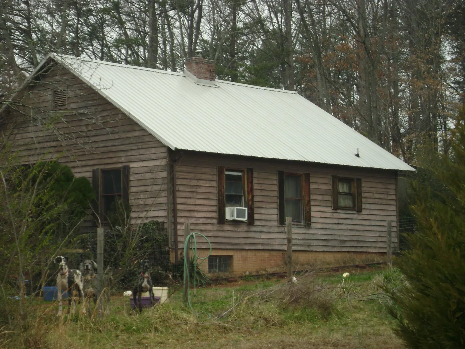 White metal roof on an old wood sided farmhouse, from a Asphalt Shingle Roof Repair job in Grand Lake